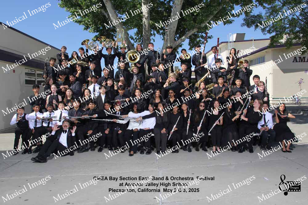 Musical Images